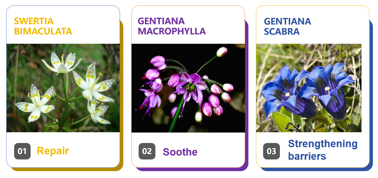 正在上传... image.png