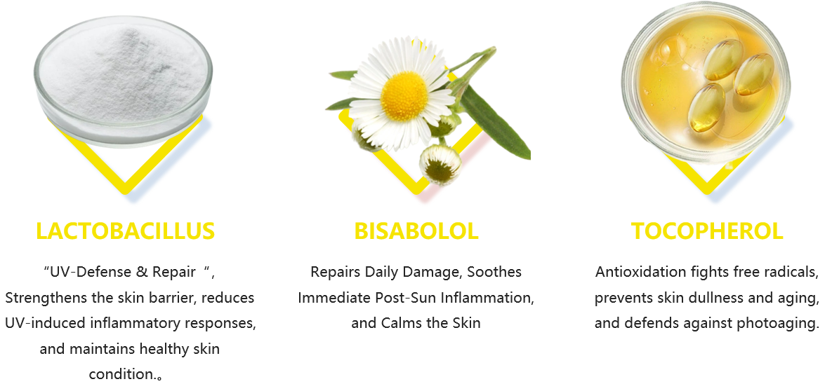 Sonnenschutzmittel sunscreen lotion